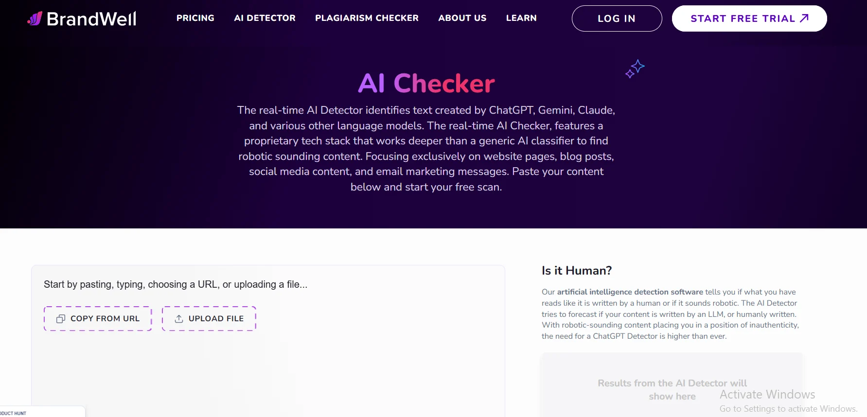 brandwell AI Detector Pro
